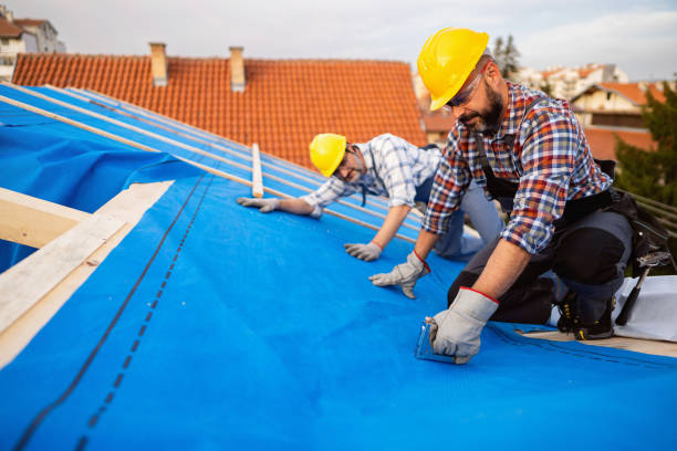 Best Sheet Metal Roofing  in Springdale, OH